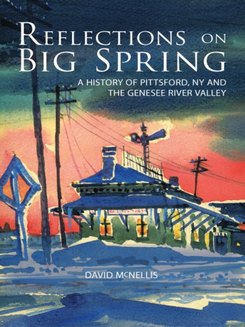 E-knjiga Reflections on Big Spring David McNellis