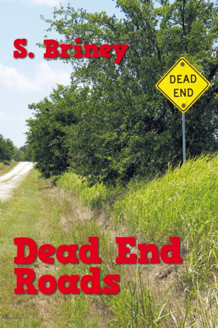 E-knjiga Dead End Roads S. Briney