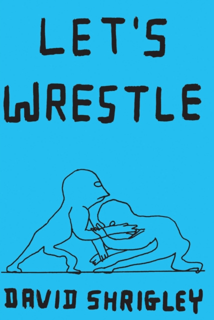 E-kniha Let's Wrestle David Shrigley