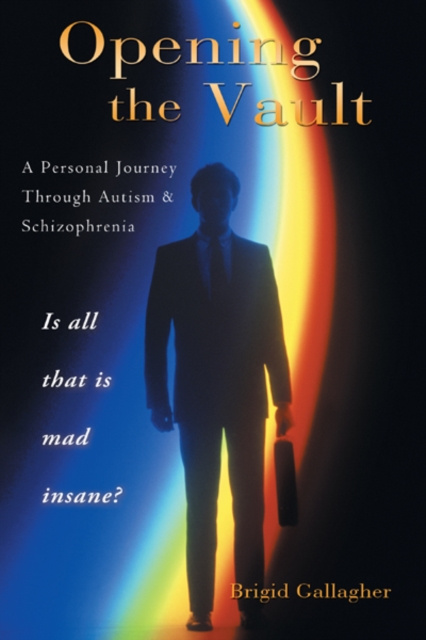 E-book Opening the Vault Brigid Gallagher