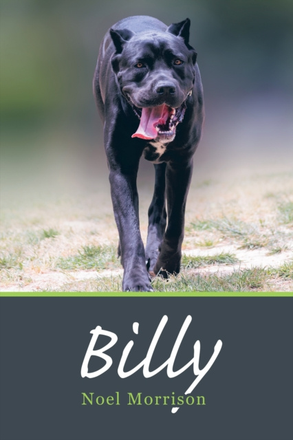 E-book Billy Noel Morrison