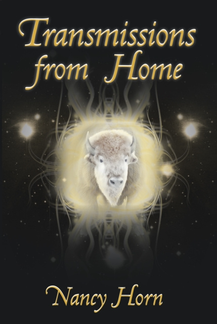 E-book Transmissions from Home Nancy Horn