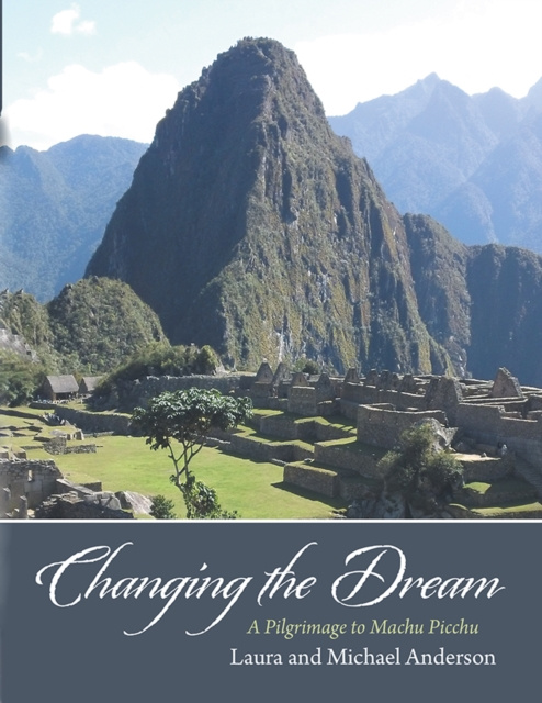 E-book Changing the Dream Laura Anderson