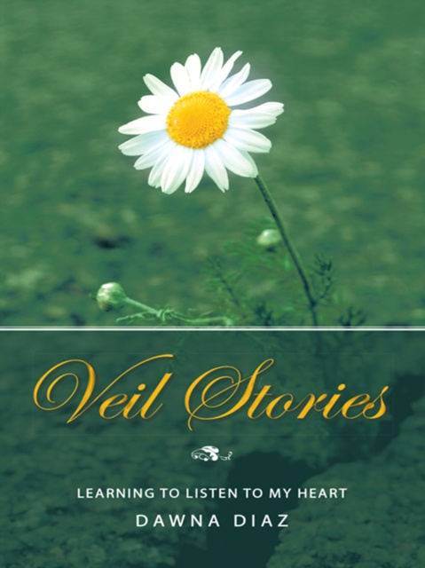 E-knjiga Veil Stories Dawna Diaz