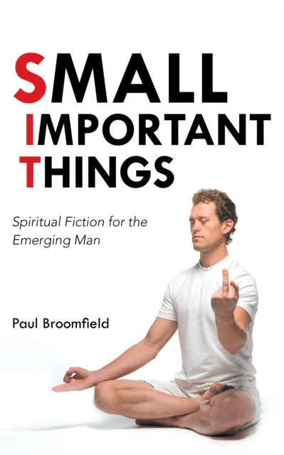 E-knjiga Small Important Things Paul Broomfield