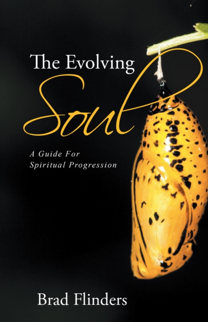 E-book Evolving Soul Brad Flinders