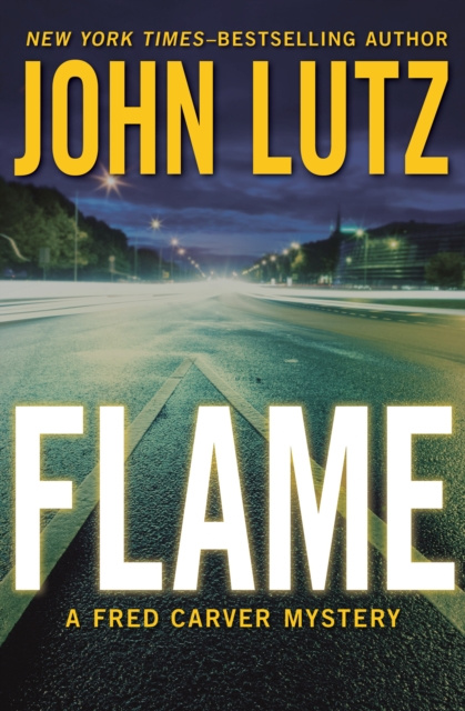 E-knjiga Flame John Lutz