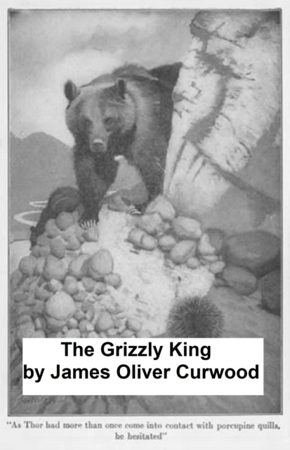 E-kniha Grizzly King James Oliver Curwood