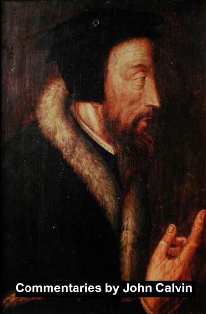 E-knjiga Commentaries John Calvin
