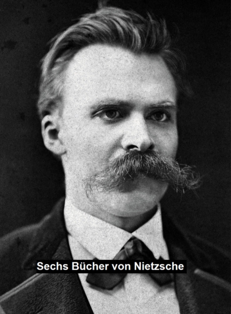 E-knjiga Sechs Bucher von Nietzsche Friedrich Nietzsche