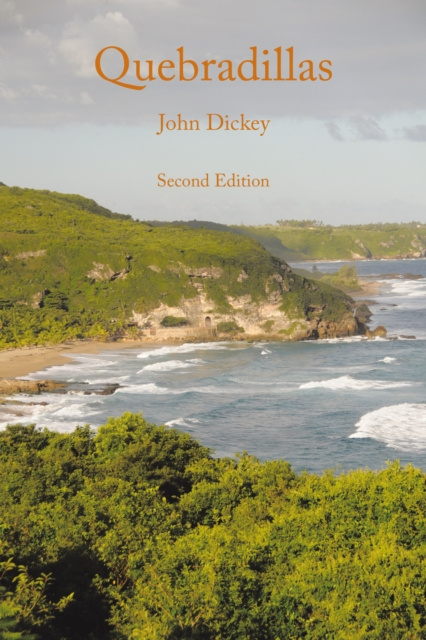 E-kniha Quebradillas John Dickey