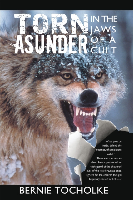 E-book Torn Asunder Bernie Tocholke