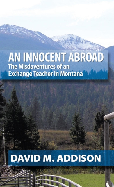 E-kniha Innocent Abroad David M. Addison