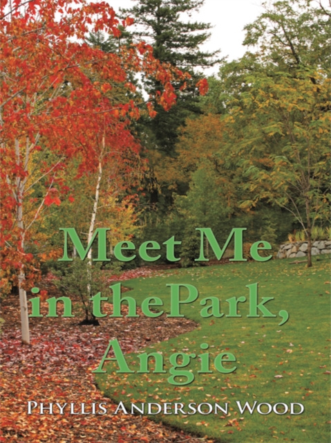 E-knjiga Meet Me in the Park, Angie Phyllis Anderson Wood