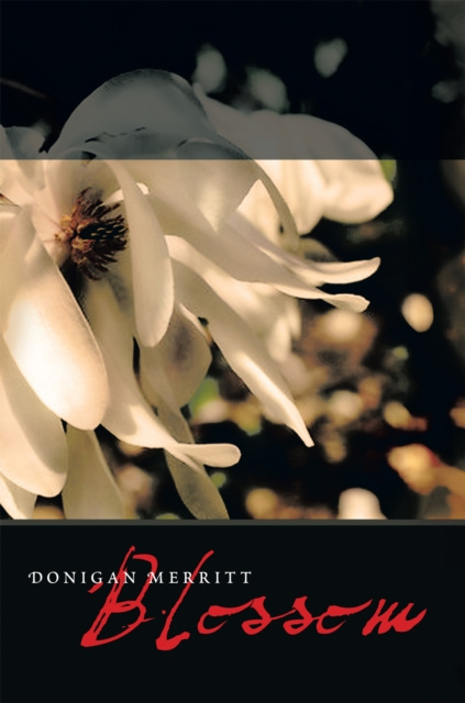 E-knjiga Blossom Donigan Merritt