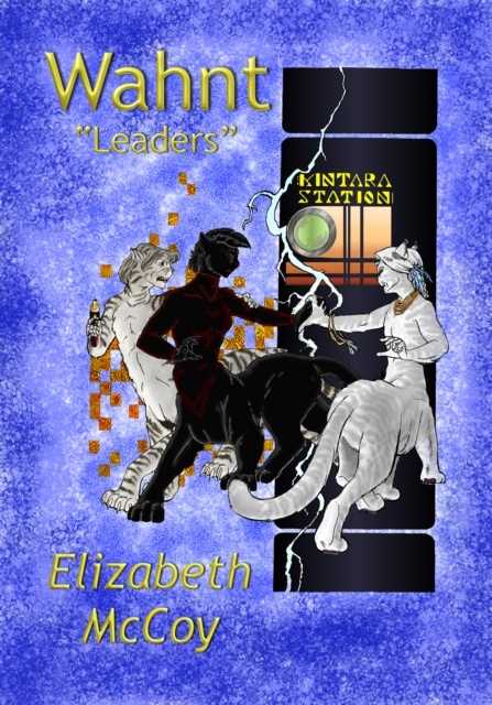 E-knjiga Wahnt Elizabeth McCoy