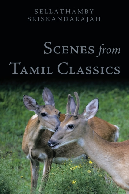E-knjiga Scenes from Tamil Classics Sellathamby Sriskandarajah