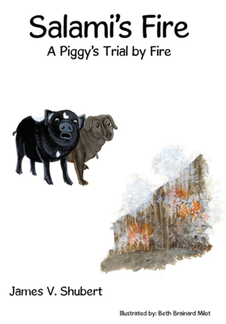 E-knjiga Salami'S Fire James V. Shubert