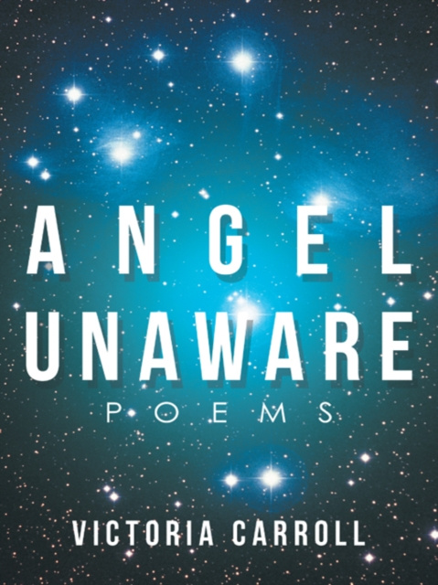 E-Book Angel Unaware Victoria Carroll