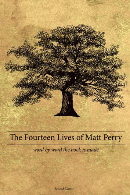E-book Fourteen Lives of Matt Perry Matthew Perry