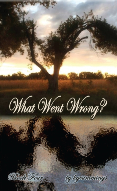 E-book What Went Wrong? kgcummings