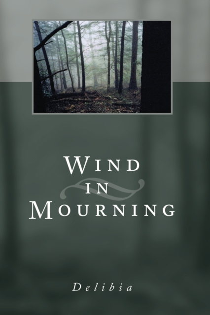 E-knjiga Wind in Mourning Delibia