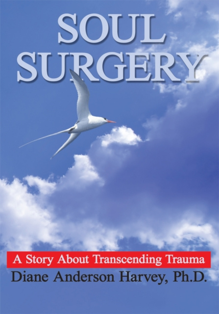 E-Book Soul Surgery Diane Anderson Harvey