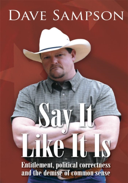 E-kniha Say It Like It Is Dave Sampson