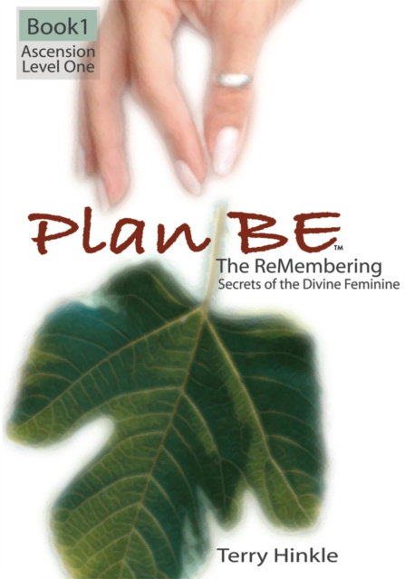 E-knjiga Plan Be Terry Hinkle