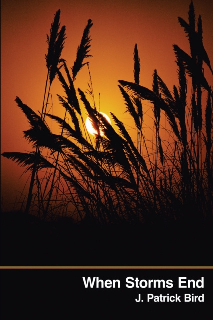 E-knjiga When Storms End J. Patrick Bird