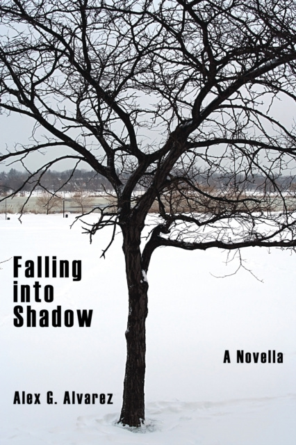 E-knjiga Falling into Shadow Alex G. Alvarez