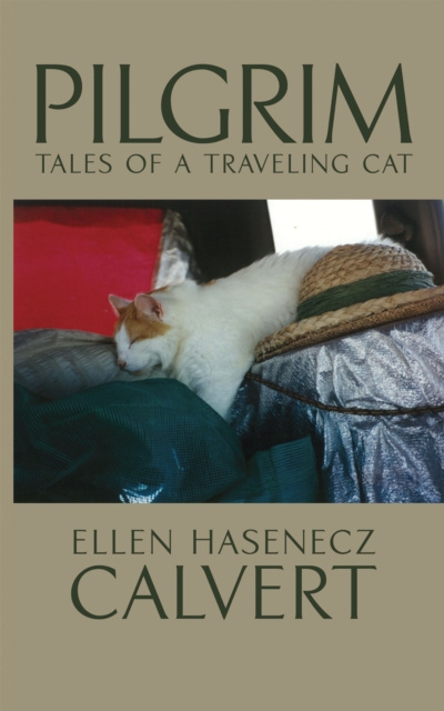 E-book Pilgrim Ellen Hasenecz Calvert