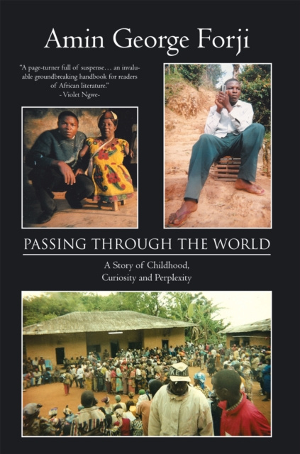 E-book Passing Through the World Amin George Forji