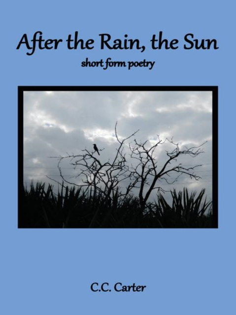 E-knjiga After the Rain, the Sun C.C. Carter