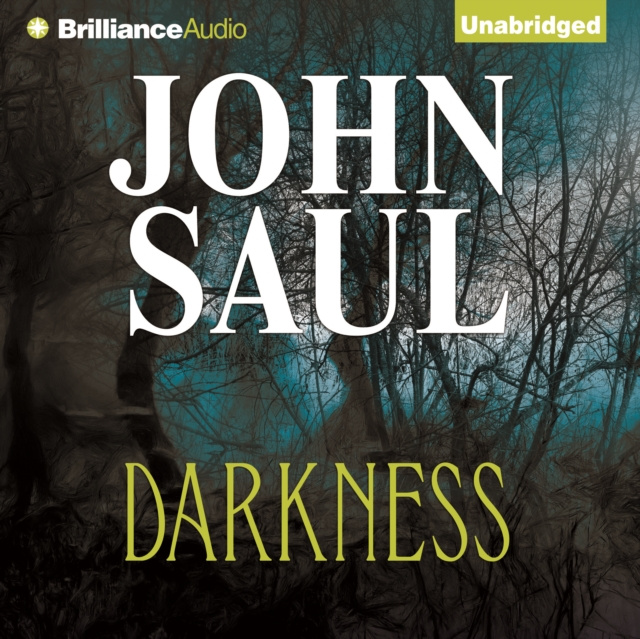 Audiobook Darkness John Saul