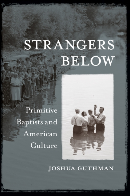 E-book Strangers Below Joshua Guthman