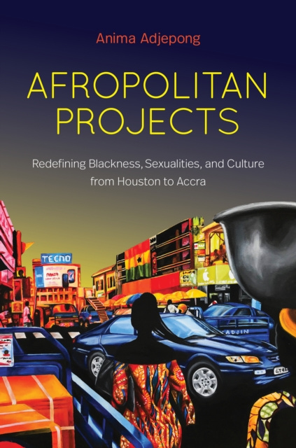 ebook Afropolitan Projects Anima Adjepong