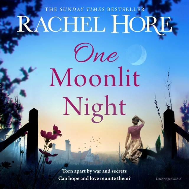 Hörbuch One Moonlit Night Rachel Hore
