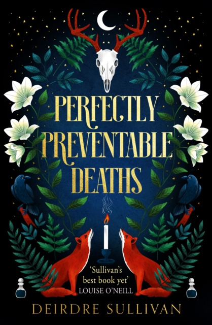 E-book Perfectly Preventable Deaths Deirdre Sullivan