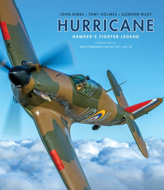 E-book Hurricane Dibbs John Dibbs