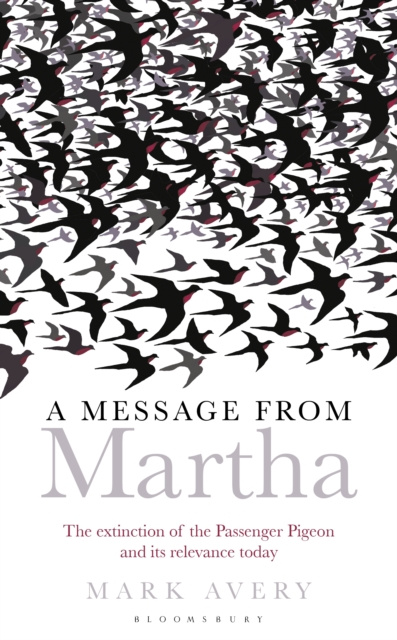 E-book Message from Martha Avery Mark Avery