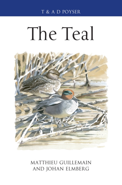 E-book Teal Guillemain Matthieu Guillemain