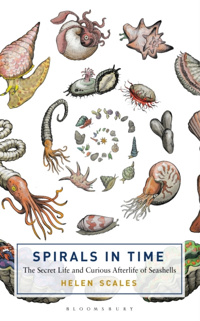 ebook Spirals in Time Scales Helen Scales