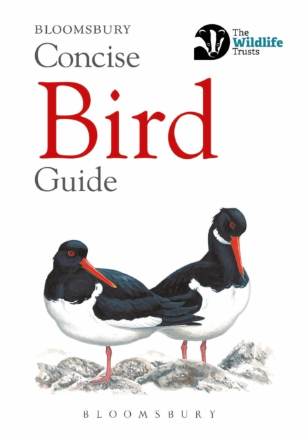 E-knjiga Concise Bird Guide Bloomsbury Bloomsbury