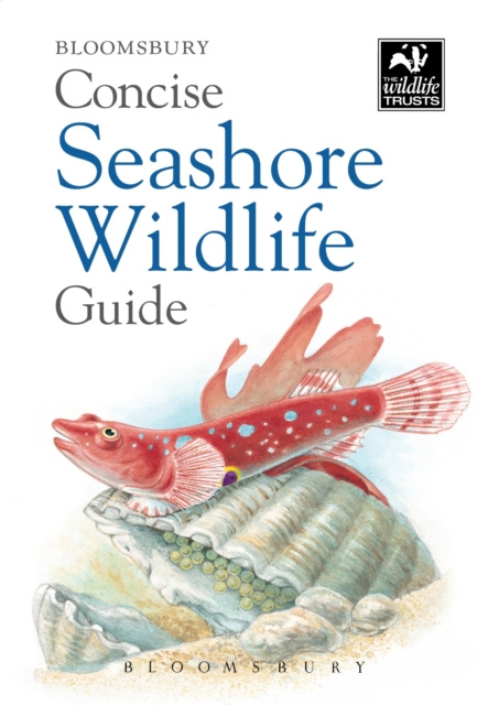 E-book Concise Seashore Wildlife Guide Bloomsbury Bloomsbury