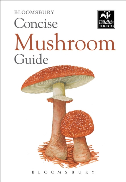E-knjiga Concise Mushroom Guide Bloomsbury Bloomsbury