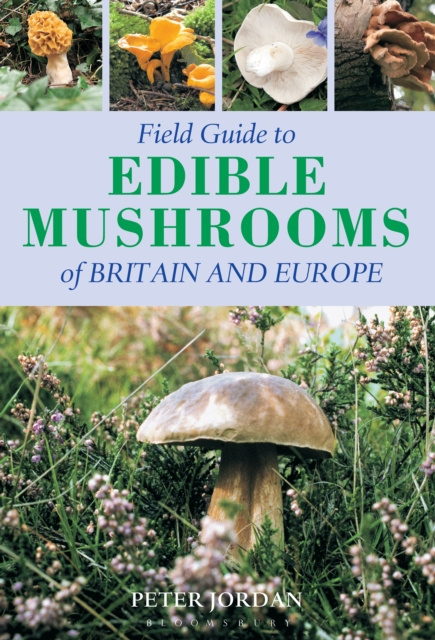 E-kniha Field Guide To Edible Mushrooms Of Britain And Europe Jordan Peter Jordan