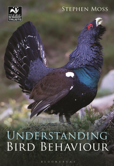 E-knjiga Understanding Bird Behaviour Moss Stephen Moss