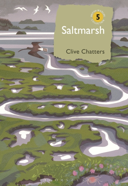E-kniha Saltmarsh Chatters Clive Chatters
