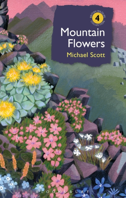E-kniha Mountain Flowers Scott Michael Scott